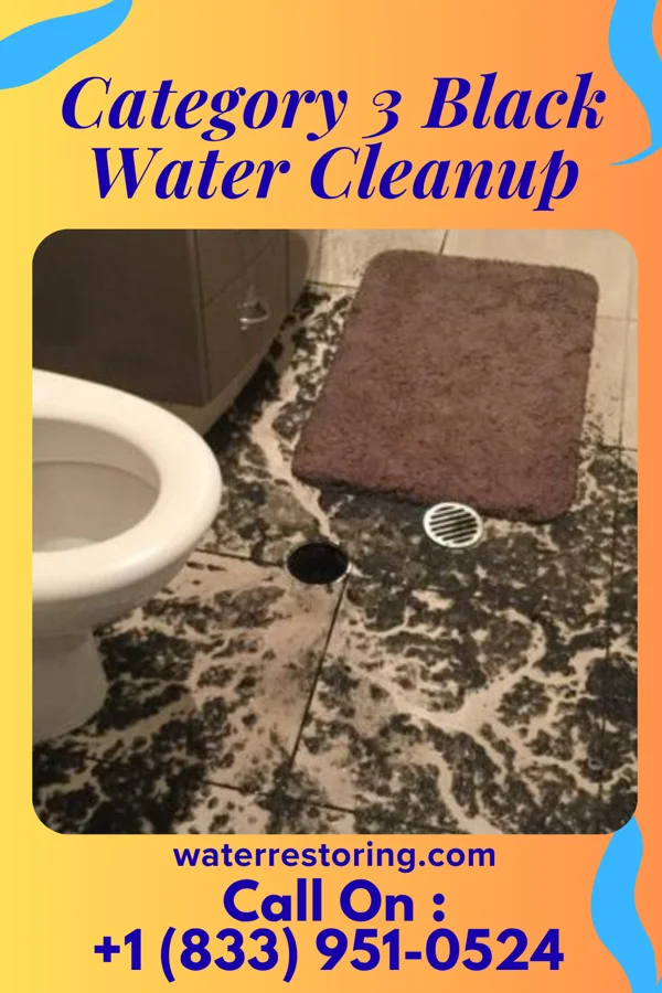 Category 3 Black Water Cleanup in Malta Bend, MO